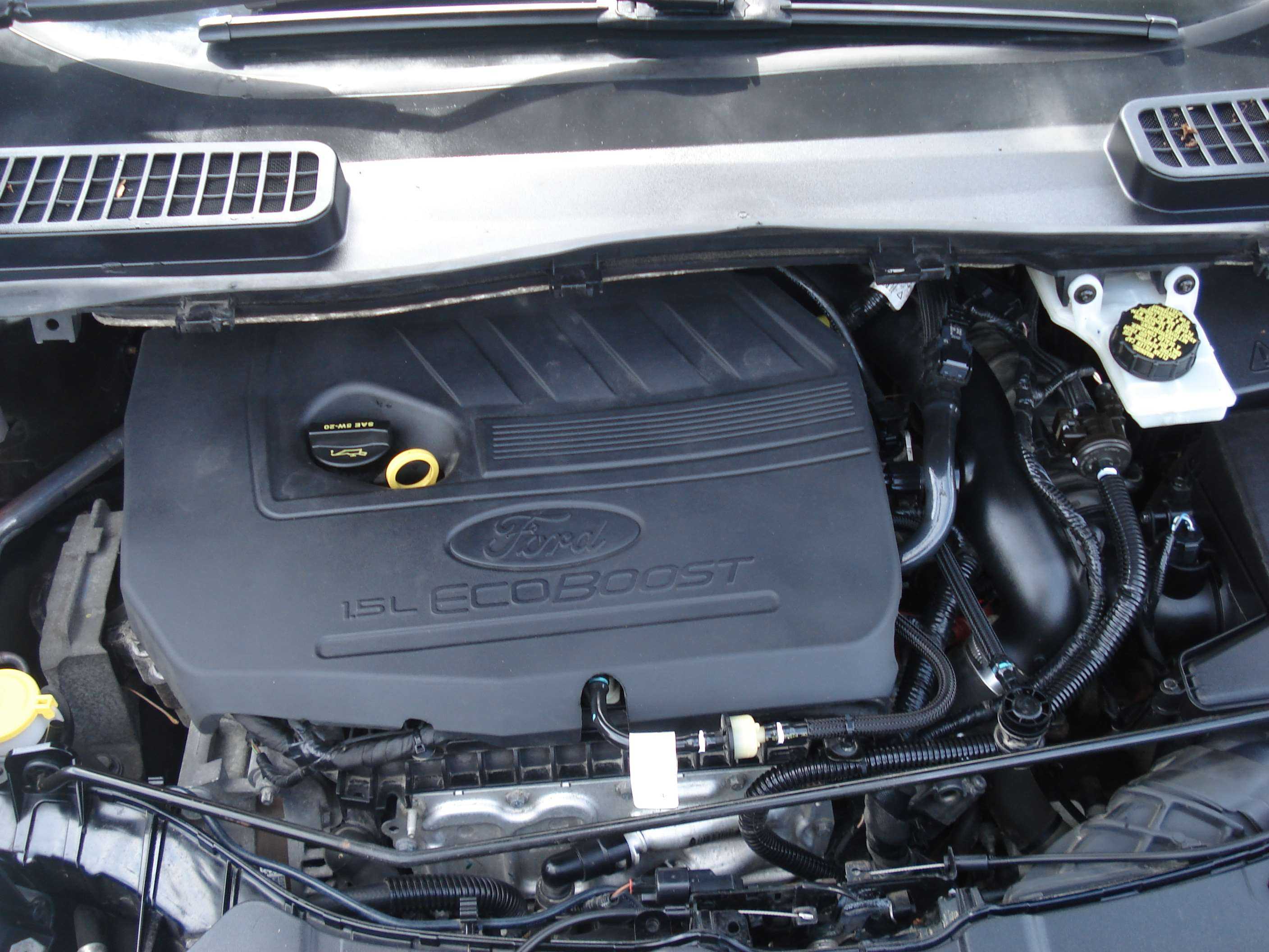 Ford Escape Image 9
